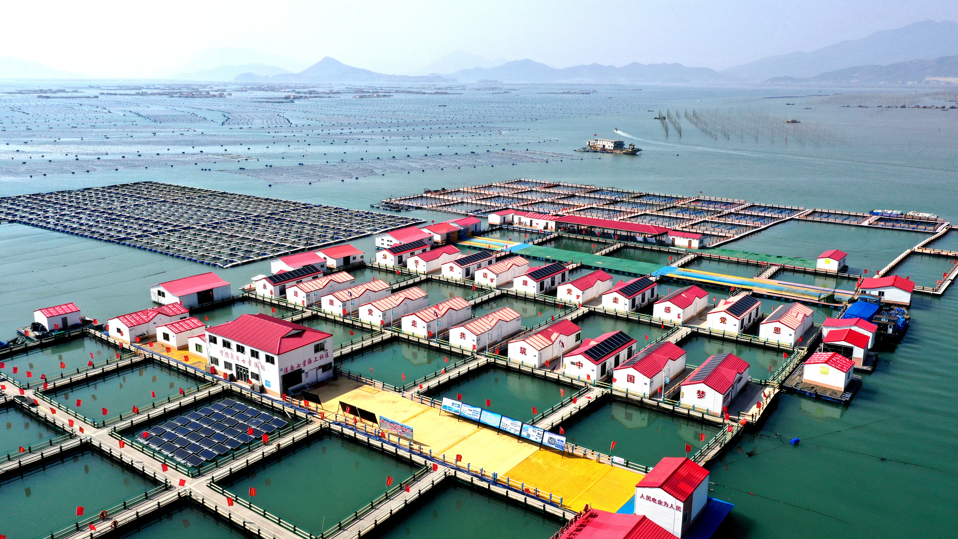 2024年3月20日，福建省寧德市，霞浦縣溪南鎮(zhèn)七星村漁排養(yǎng)殖示范區(qū)，漁民駕駛養(yǎng)殖船進(jìn)行海參養(yǎng)殖作業(yè)。