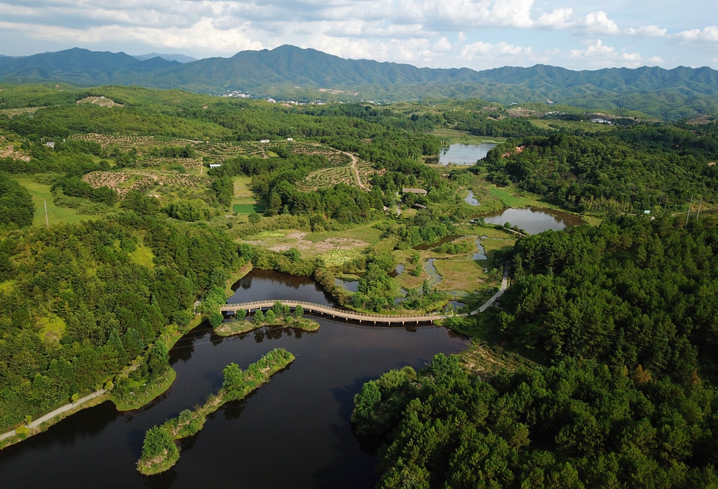 福建省龍巖市長汀縣的長汀汀江國家濕地公園景色（2020年7月28日攝，無人機(jī)照片）。新華社記者 魏培全 攝