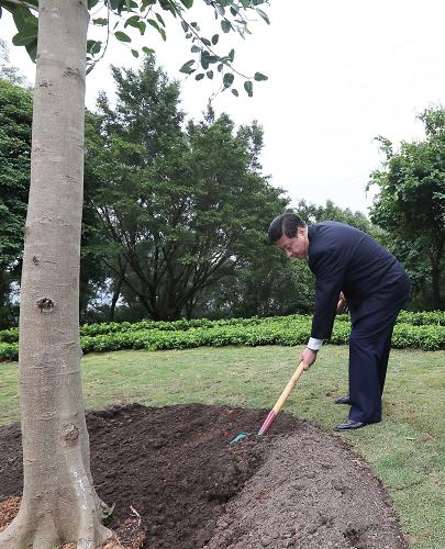 2012年12月7日至11日，習近平在廣東省考察工作。這是8日上午，習近平在深圳蓮花山公園種下一棵高山榕樹。新華社記者 蘭紅光 攝