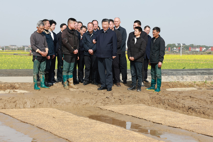 2024年3月18日至21日，中共中央總書記、國家主席、中央軍委主席習(xí)近平在湖南考察。這是19日下午，習(xí)近平在常德市鼎城區(qū)謝家鋪鎮(zhèn)港中坪村走進(jìn)田間，察看秧苗培育和春耕備耕進(jìn)展。新華社記者 王曄 攝